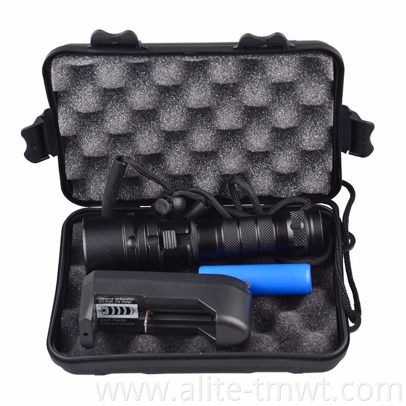 Compact Portable Underwater 80m Flashlight Waterproof XML T6 LED Scuba Diving Torch Light with 18650 Battery